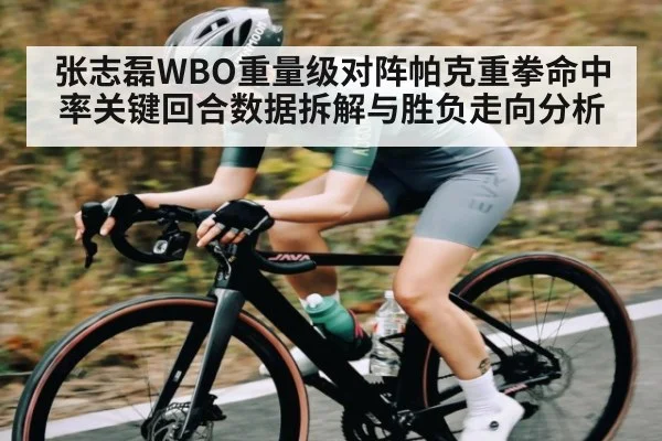 张志磊WBO重量级对阵帕克重拳命中率关键回合数据拆解与胜负走向分析